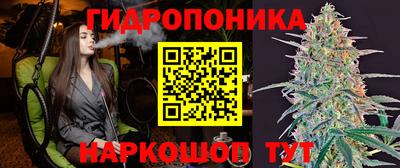 PSILOCYBIN Кулебаки